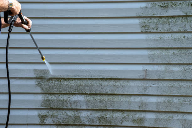 Best Garage Cleanout  in Huntington Woods, MI
